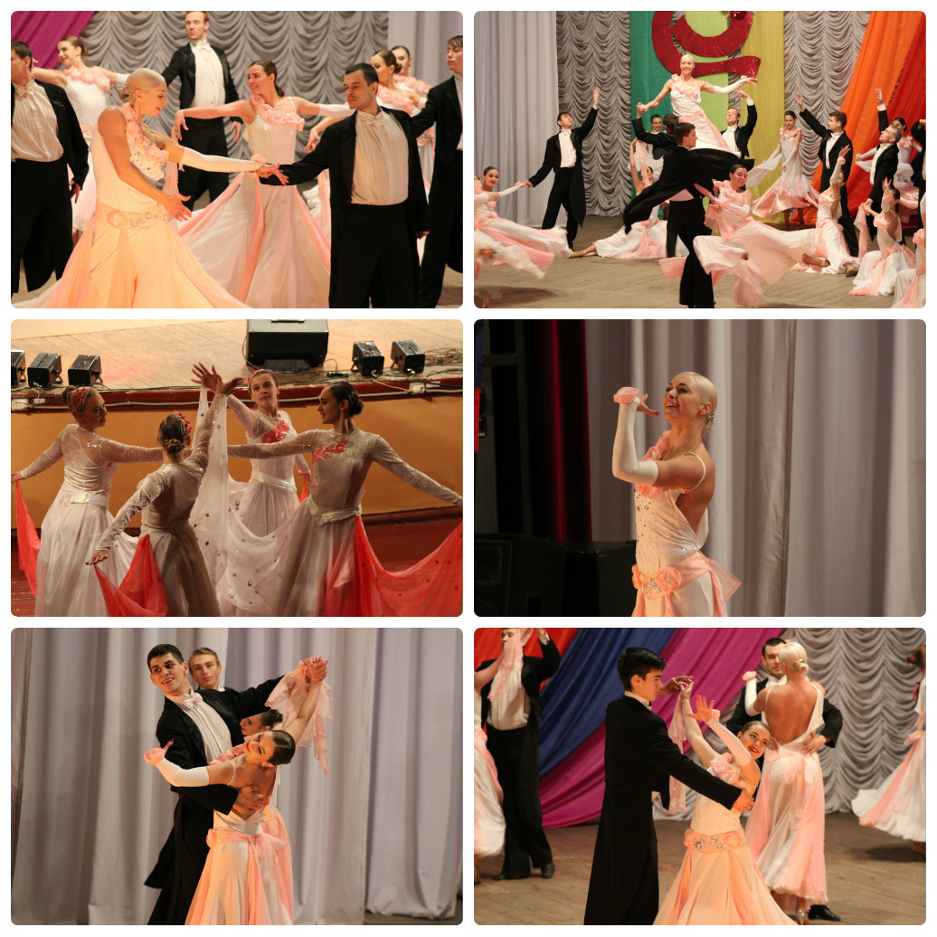 collage photocat4 22662