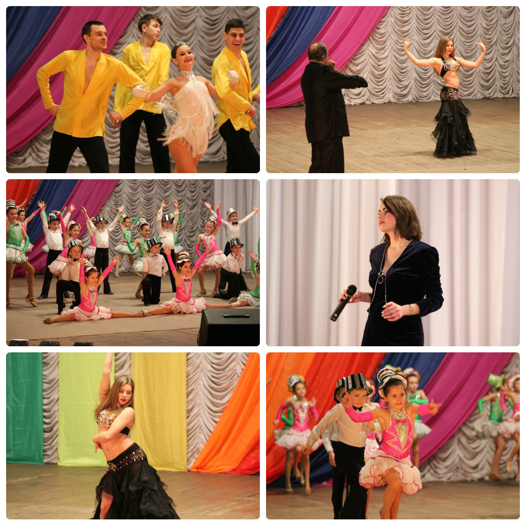 collage photocat6 ff05f