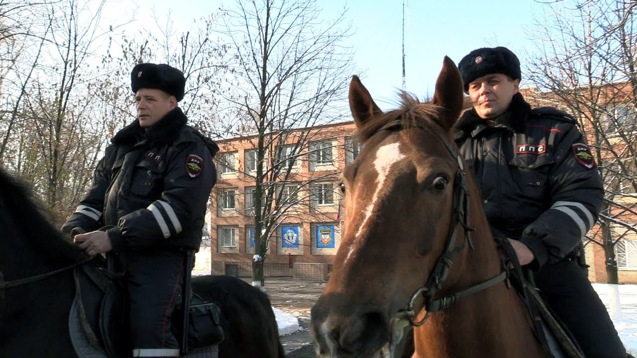 Конь Конь