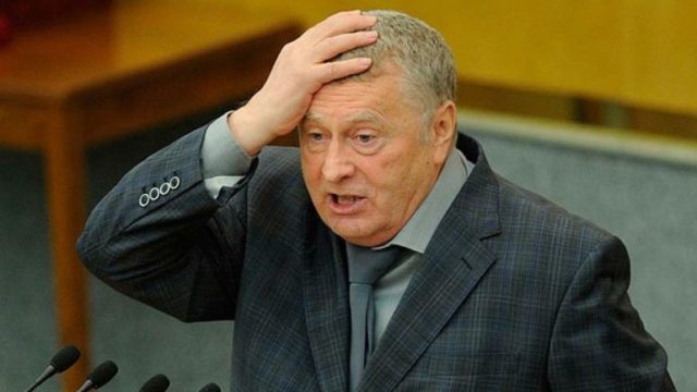 Российский политик Жириновский Российский политик Жириновский