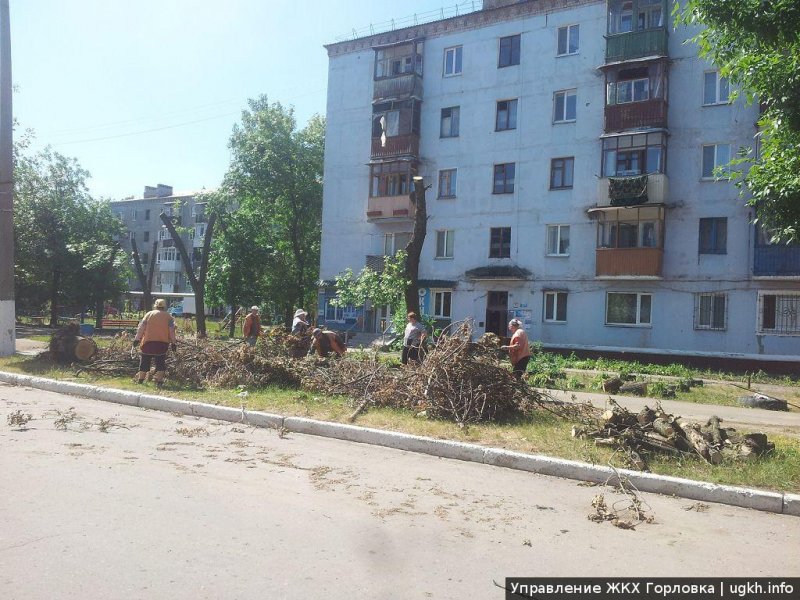 Ккронирование деревьев Кронирование деревьев