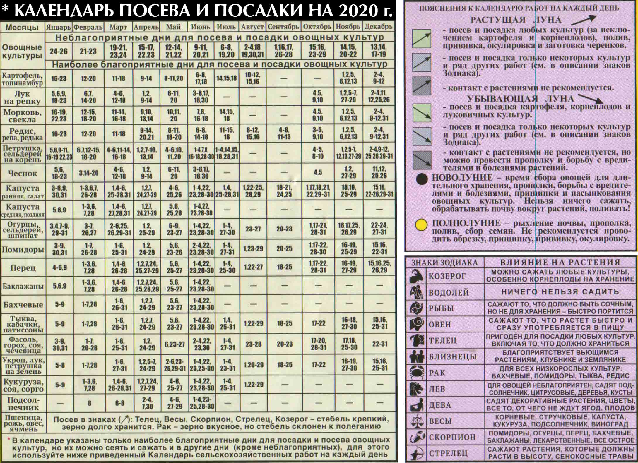 Календарь сельскохозяйственных работ на каждый день и календарь посева и  посадки на 2020 год - News365