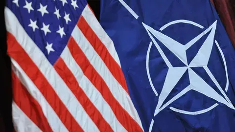США и НАТО