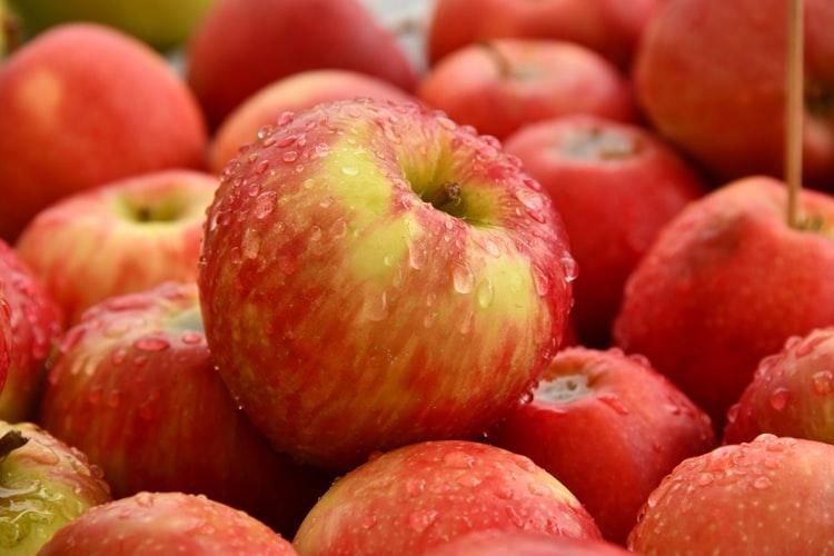 Международный день поедания яблок